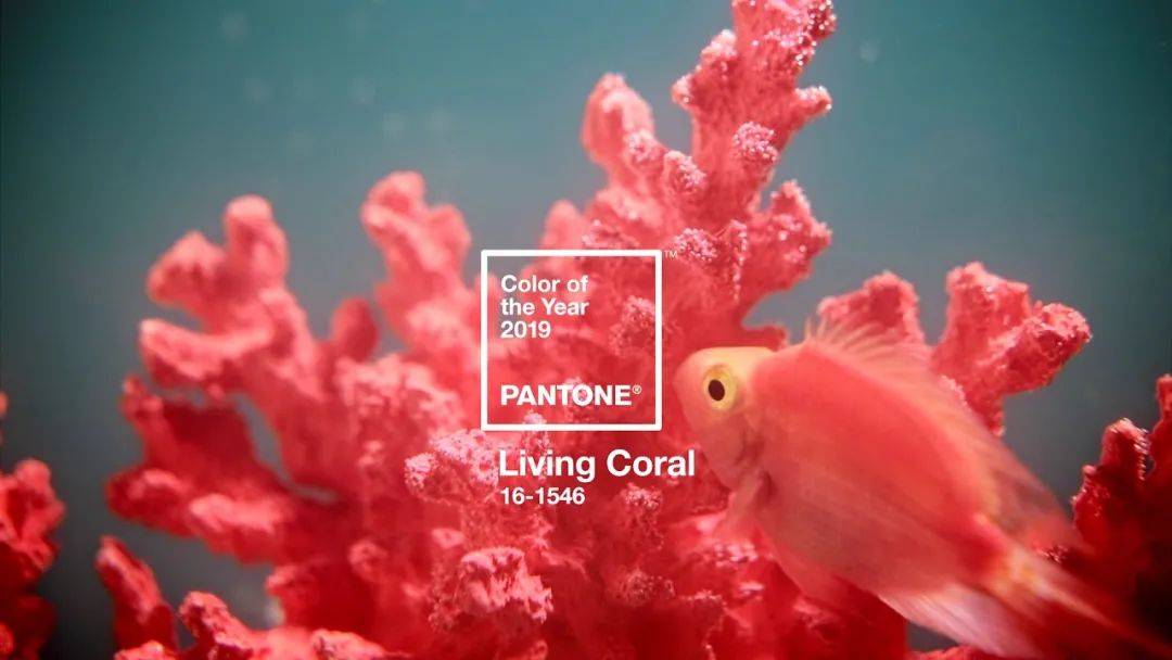 PANTONE（潘通）2021年度代表色