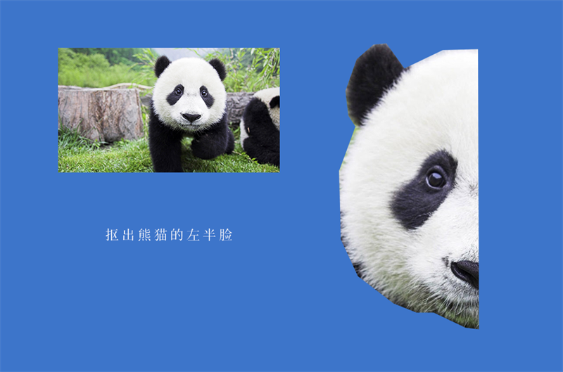 PS教程：绘制低多边形风格熊猫 