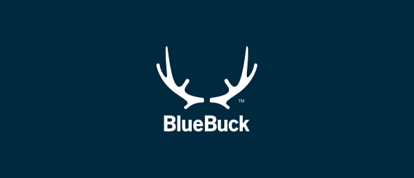 Blue Buck Showcase of Creative Symmetrical Logos