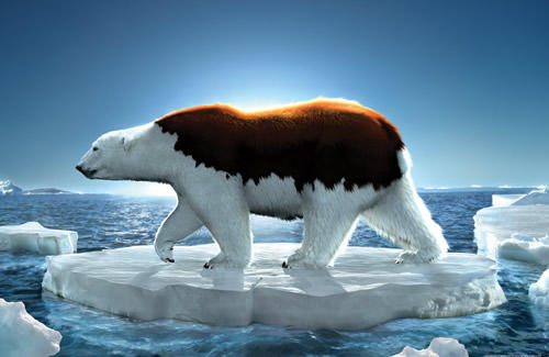 Greenpeace-Future-Of-The-Ice-Bear.jpg