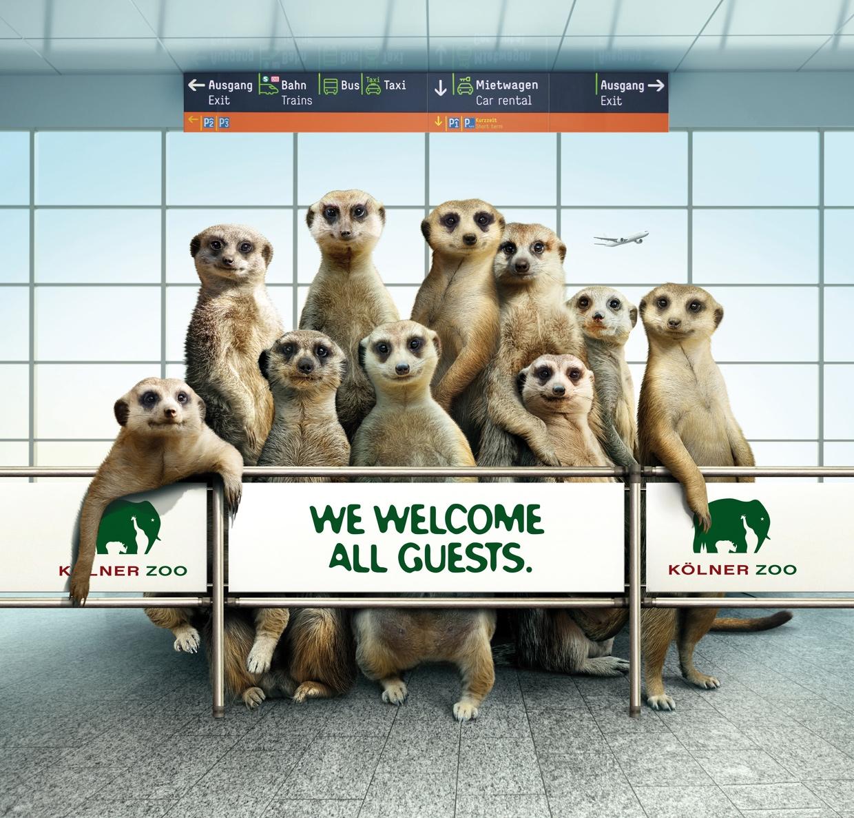 科隆动物园平面广告设计