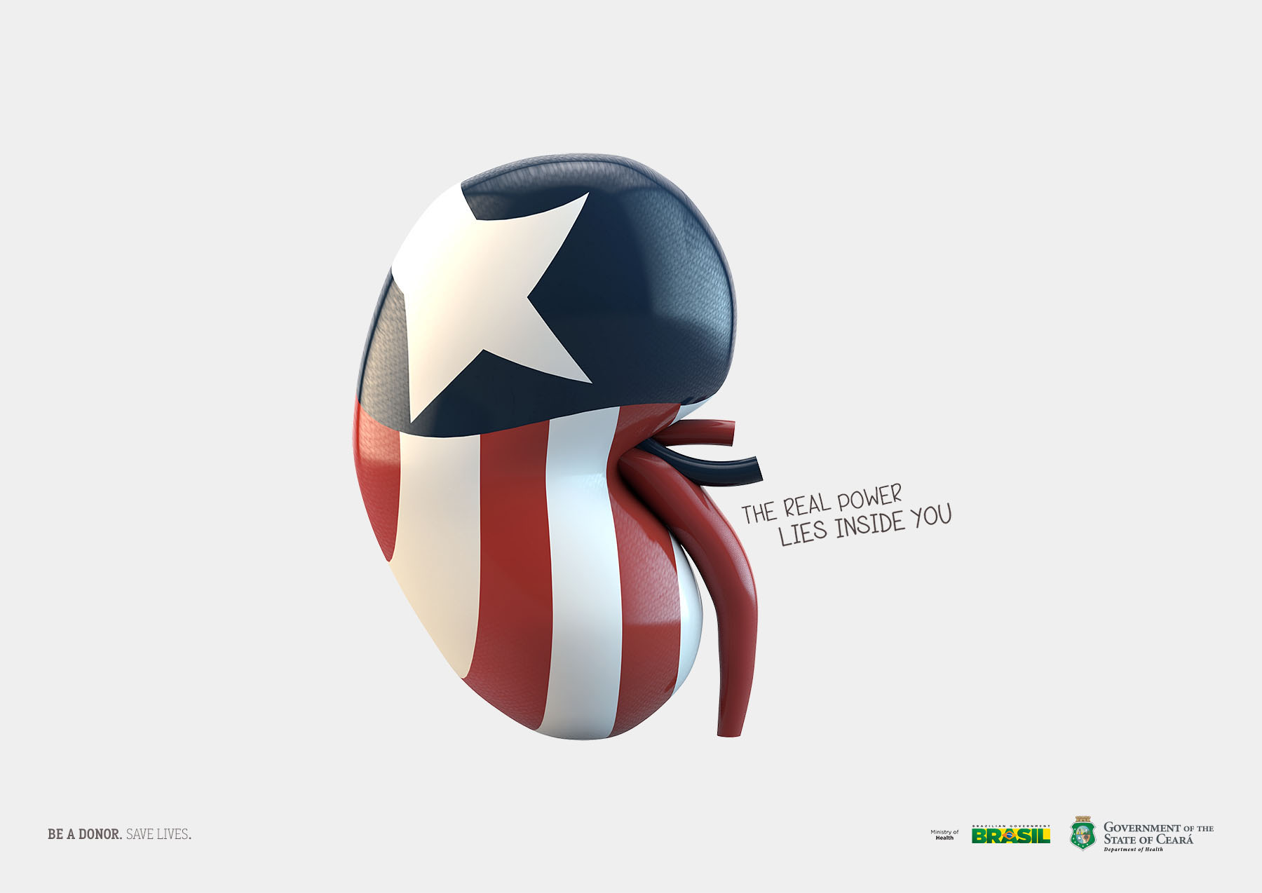 巴西塞阿拉州政府公益平面广告设计
