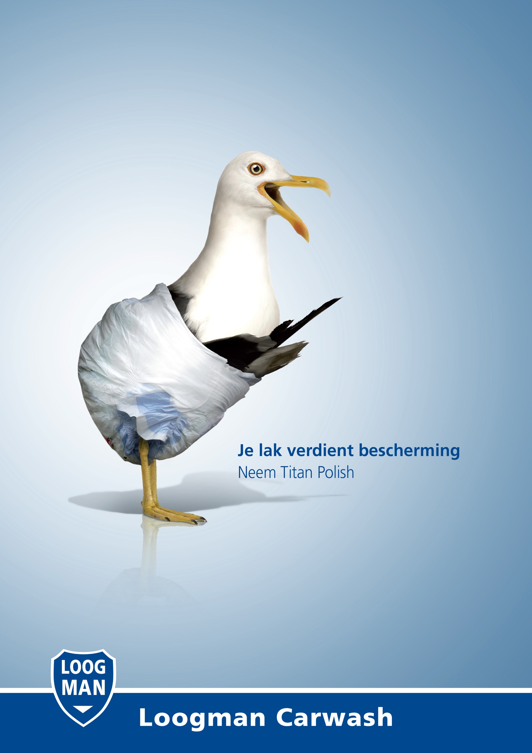 荷兰loogman洗车行平面广告设计
