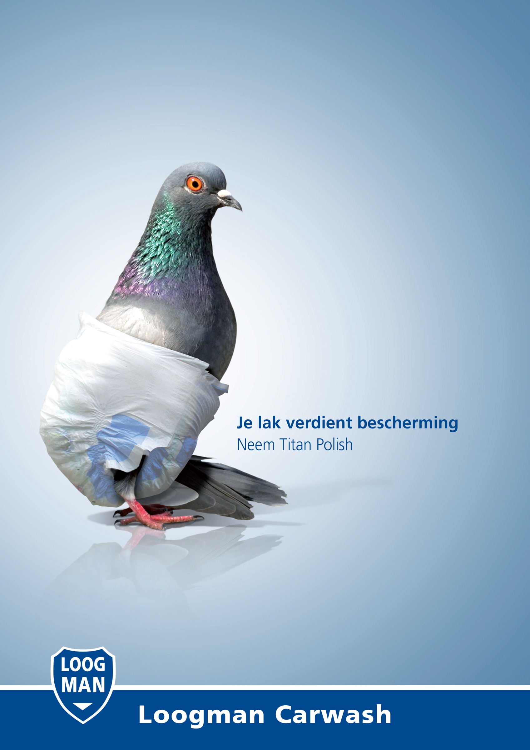 荷兰loogman洗车行平面广告设计
