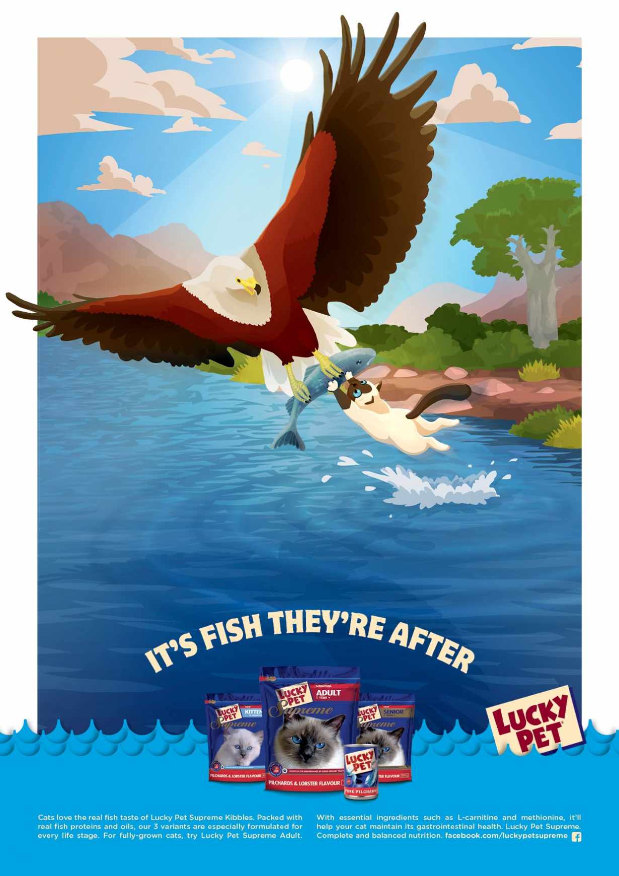 南非Lucky Pet平面广告设计