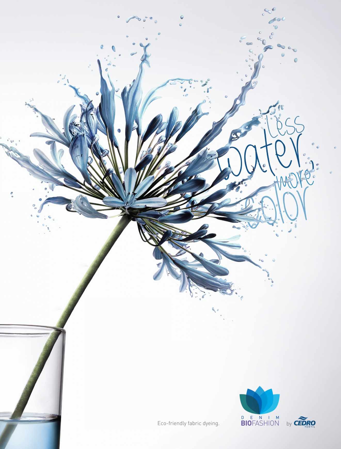 巴西Cedro Têxtil平面广告设计