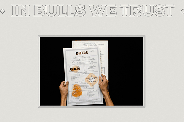  | ţ԰ư(Bulls)Viϵͳ