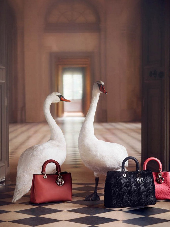 Dior 2012圣诞系列梦幻广告大片